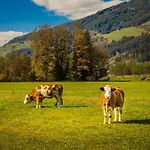 Bio-bauernhof Obertrattenbachhof Farm stay