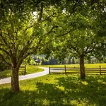 Farm stay Bio-bauernhof Obertrattenbachhof *