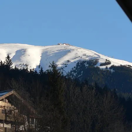 Bio-bauernhof Obertrattenbachhof * Neukirchen am Großvenediger
