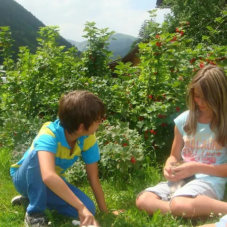 Bio-bauernhof Obertrattenbachhof Neukirchen am Großvenediger