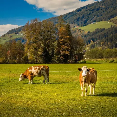 Bio-bauernhof Obertrattenbachhof Gospodarstwo agroturystyczne