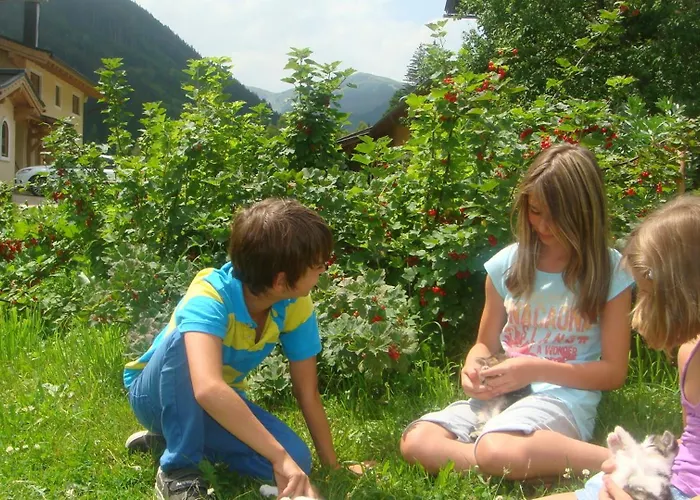 Bio-bauernhof Obertrattenbachhof Neukirchen am Großvenediger
