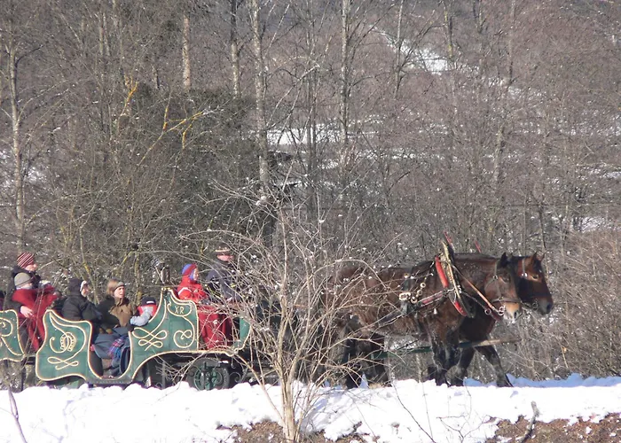 Çiftlik konaklama Bio-bauernhof Obertrattenbachhof