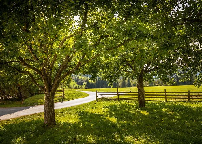 Çiftlik konaklama Bio-bauernhof Obertrattenbachhof *
