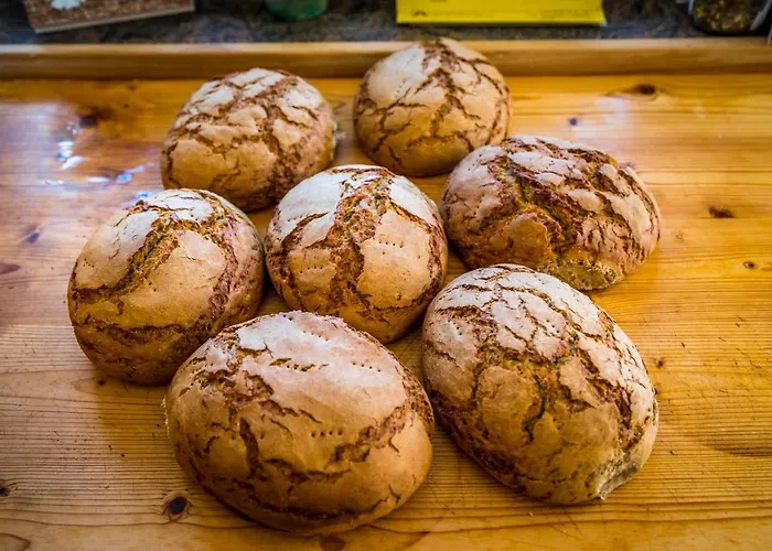 Çiftlik konaklama Bio-bauernhof Obertrattenbachhof Neukirchen am Großvenediger